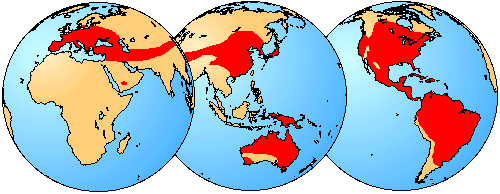 Carte de distribution des Hylidés dans le monde. 
