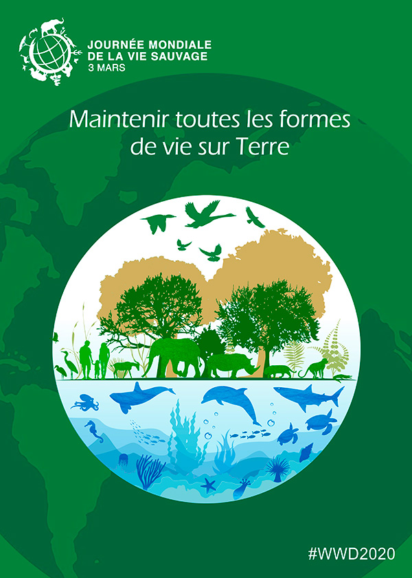 Pleins Feux Sur… La Journée Mondiale De La Vie Sauvage - Ministère Des ...