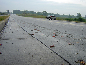 Grenouilles écrasées sur la route. 