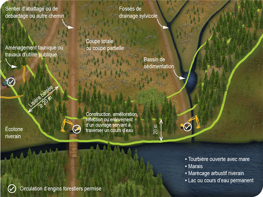Règles qui régissent la circulation d’un engin forestier dans l’écotone riverain et la lisière boisée conservée en bordure d’un milieu humide ou aquatique