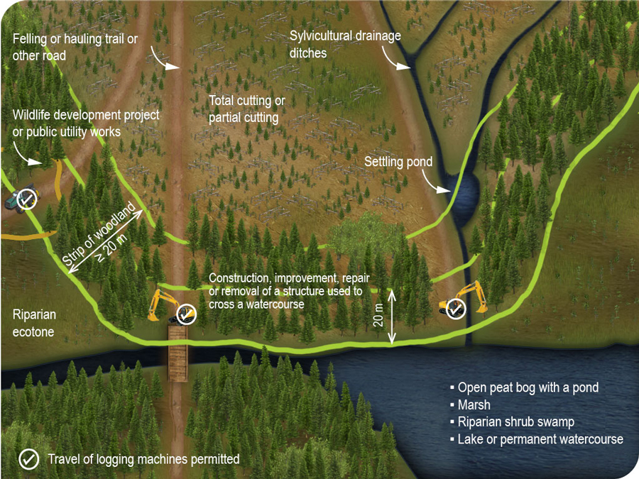 Rules governing travel of logging machines in the riparian ecotone and in the strip of woodland alongside a wetland or aquatic environment