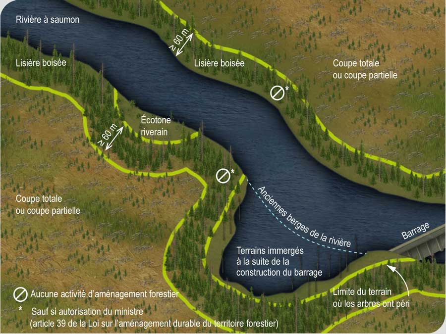 Règles qui régissent les activités d’aménagement forestier en bordure d’une rivière à saumon