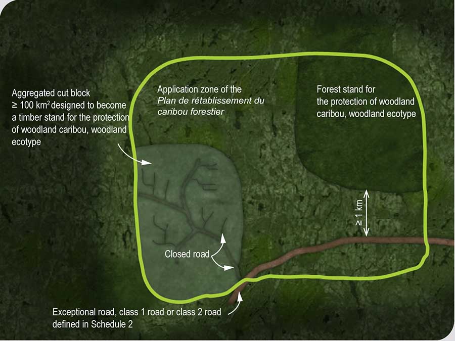 Rules governing the location, closure and restoration to production of a road in the application zone of the Plan de rétablissement du caribou des bois, écotype forestier