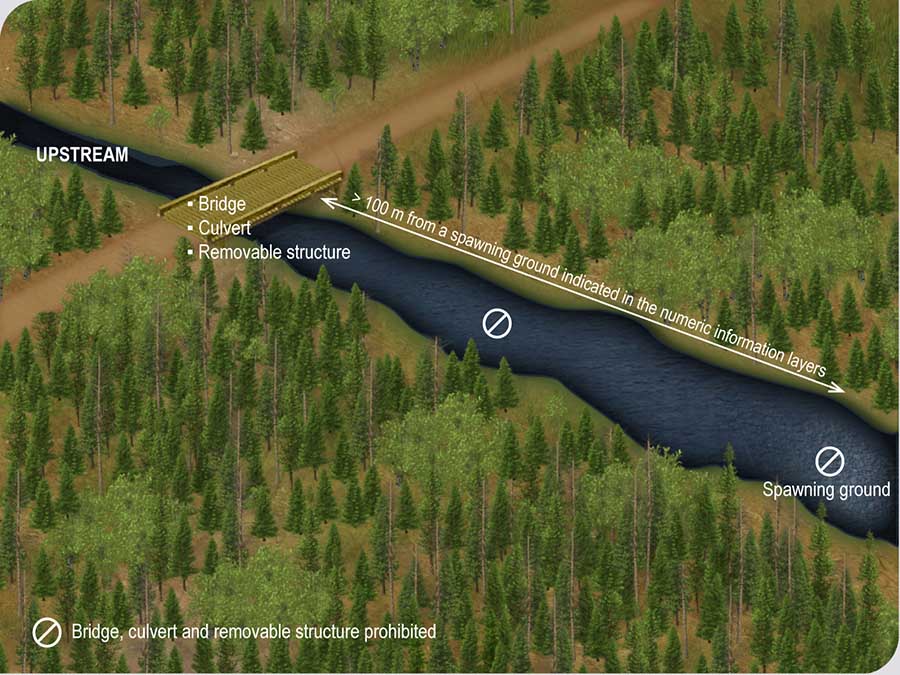 Distance between a spawning ground and a bridge, culvert or removable structure