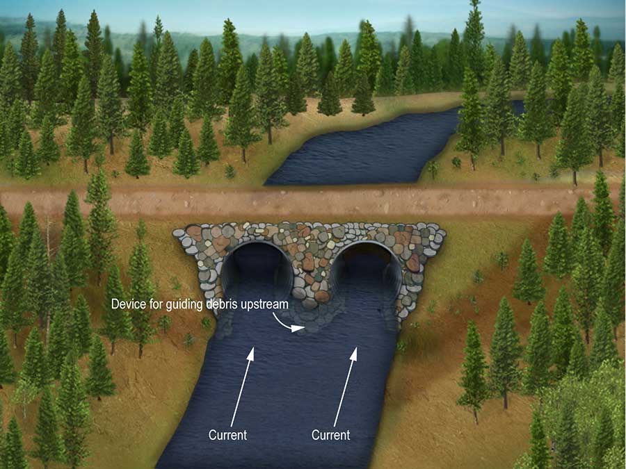 Culvert with parallel conduits and an upstream debris guide