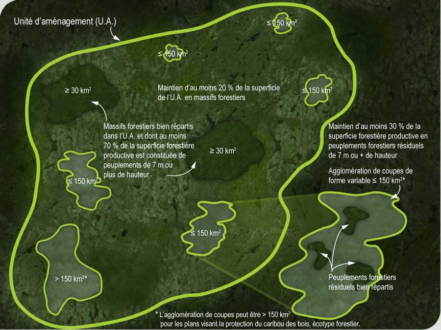 Interventions forestières réalisées sur la base d’une approche comprenant des agglomérations de coupes et des massifs forestiers