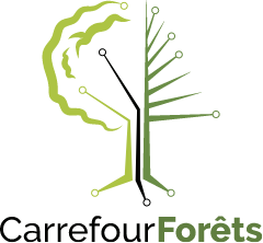 Logo Carrefour Forêts 2023